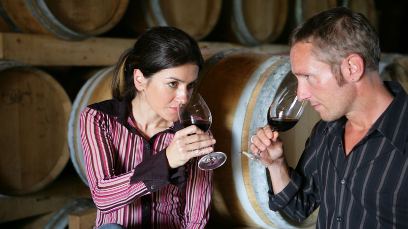 bodegas