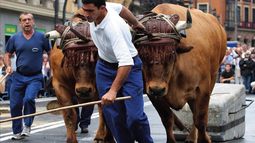 Idi Probak en Bilbao