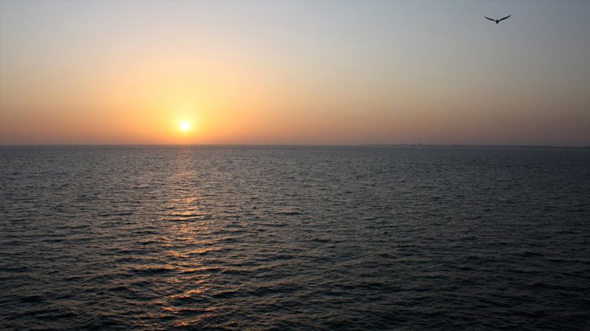 Golfo de Bizkaia
